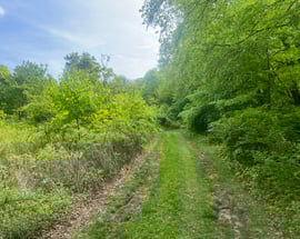 Spooner Hill Road