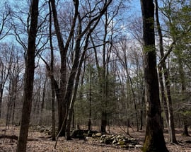 Lot 00 Chalybes Road West