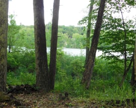 215 Taconic Road