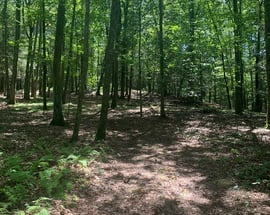 Lot 1 Chalybes Road West