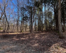 41-1 Whippoorwill Road