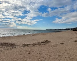 330 Savin Avenue  #22