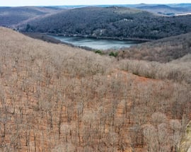 197 Tinker Hill Road