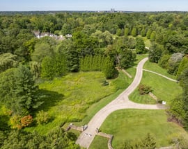 1619 Purchase Street