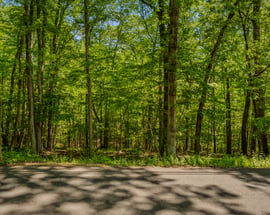 Lot10-b1 Foot Hills Road