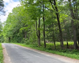 00 Great Hollow Road