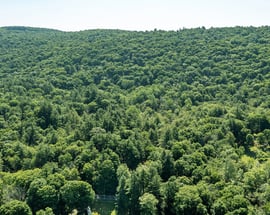 00 Great Hollow Road