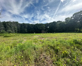 Morris Land