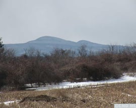 Livingston 