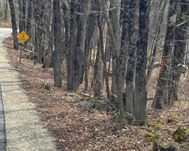 0 George Schnopp Rd