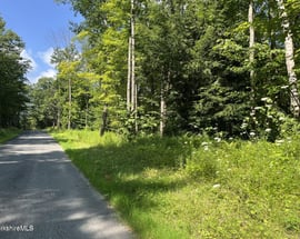 Lot # 1 Webster Rd