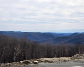 350 Mohawk Trail
