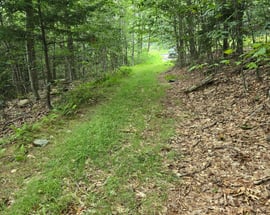 0 Monroe Rd