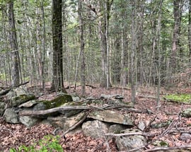 Lot 3 / 0 Rood Hill Rd