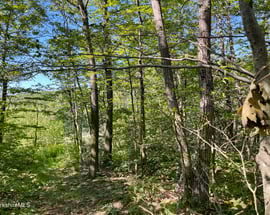 2438 Mohawk Trail