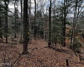 Lot 83 Moberg Rd