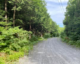 Lot 3A Hiawatha Hill
