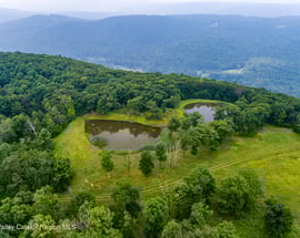 890 Bald Mountain Road