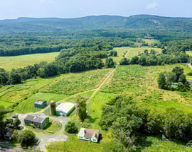 239 Springtown Road