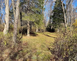 735 Gahbauer Road