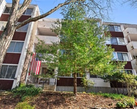 1005 Colony Drive