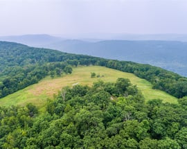 890 Bald Mountain Road