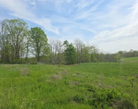 Gretna Road