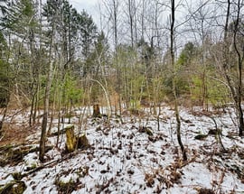 0 Shaw Road