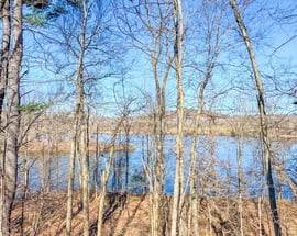 0 Meadowview Ln & Pine Meadow Rd
