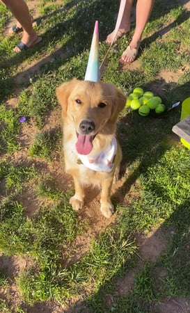 Monika Pietras photo 3