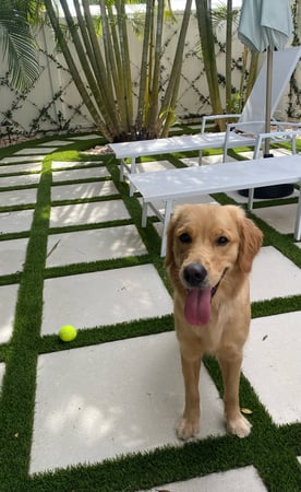 Monika Pietras photo 12