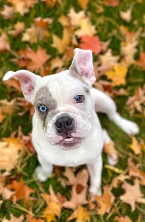 Stacy D. Chojnowski photo 6