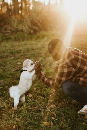 Andrew Jackson photo 5