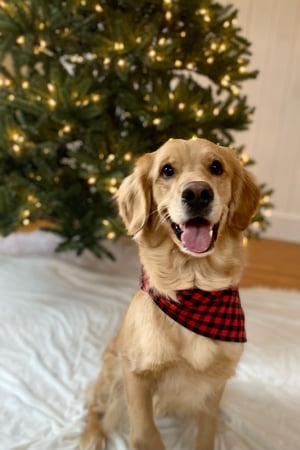 Monika Pietras photo 11