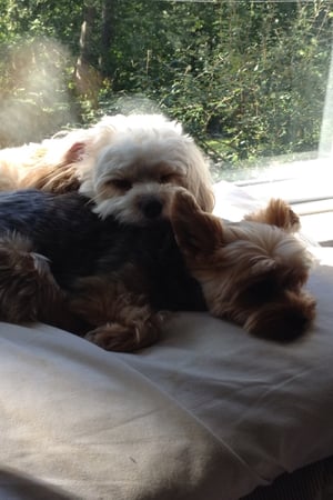 Fatin Beiner photo 2