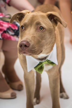 Alexey Gavrilov photo 2