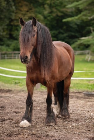 Catherine McDonald photo 1