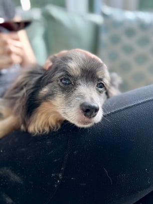 Jared Kelly photo 21