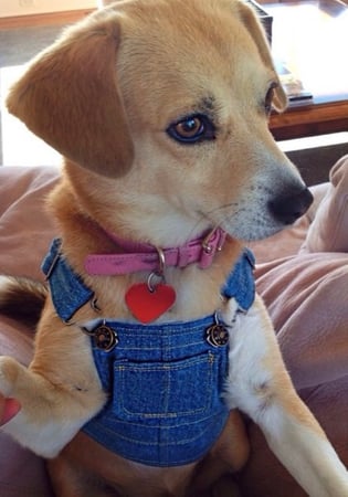 Rania Khouri photo 4