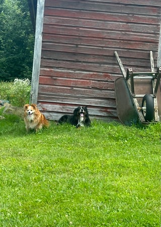 Samantha Behm photo 3