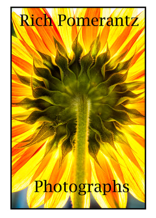 Rich Pomerantz photo 4