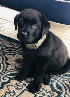 Bonnie Foster photo 1