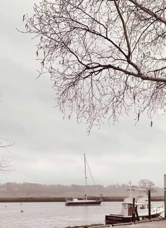 Deirdre McCloud Childs photo 8