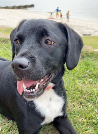 Dawn Cullity photo 3