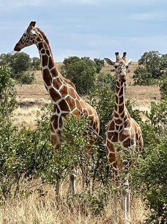 Randi Robinowitz photo 10