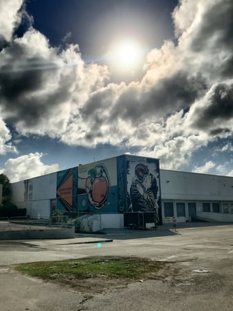 Lily Stelluti photo 4