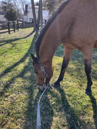 Erika Portanova Songer photo 12