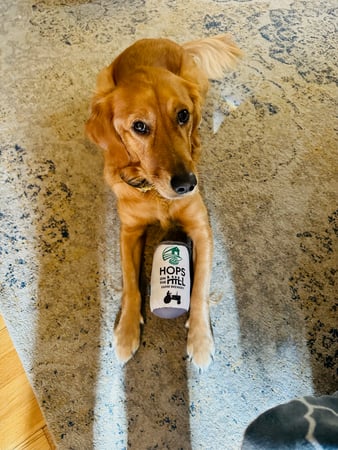 Desiree Meister photo 11