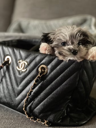 Melania Hasiuk photo 3