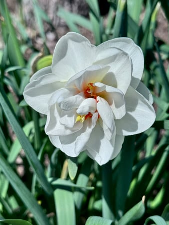 Ledlie Mosch Pastor photo 10